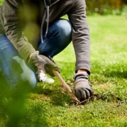 Compo Saat Rasen-Nachsaat 440 G -Compo Verkaufsgeschäft 4008398338831 COMPO 005