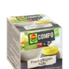 COMPO Fruchtfliegenfalle, 1 Stück -Compo Verkaufsgeschäft 4008398408299 800x800