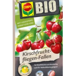 COMPO Bio-Kirschfruchtfliegenfalle, 3 Stück