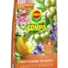 Mediterrane Pflanzen Langzeit-Dünger (1,5 Kg) | Dünger Von COMPO -Compo Verkaufsgeschäft 551053 mediterrane Pflanzen Langzeit Duenger 1 5 kg 2589702004 co 0