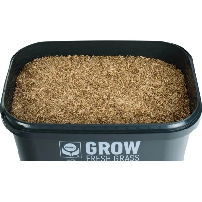 Compo Grow Fresh Grass 1,7 Kg Für 100 M² 7 Compo Grow Fresh Grass 1,7 Kg Für 100 M² – Bild 5