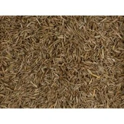 Compo Grow Fresh Grass 1,7 Kg Für 100 M² 13 Compo Grow Fresh Grass 1,7 Kg Für 100 M² -Compo Verkaufsgeschäft 8785081 4497 6