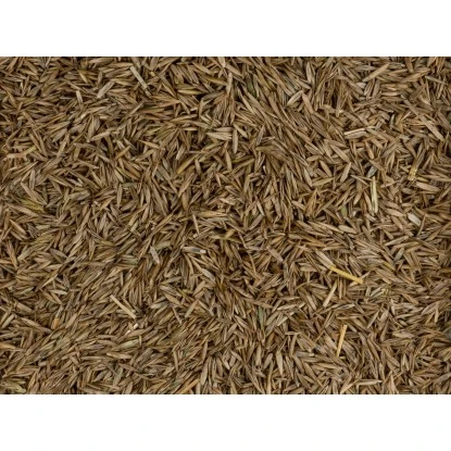 Compo Grow Fresh Grass 1,7 Kg Für 100 M² 8 Compo Grow Fresh Grass 1,7 Kg Für 100 M² – Bild 6
